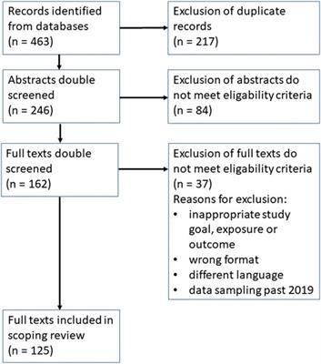 The Relationship Between Work-Related Stress and Depression: A Scoping Review